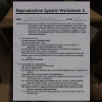 45. Ah, the same reproductive system worksheet.